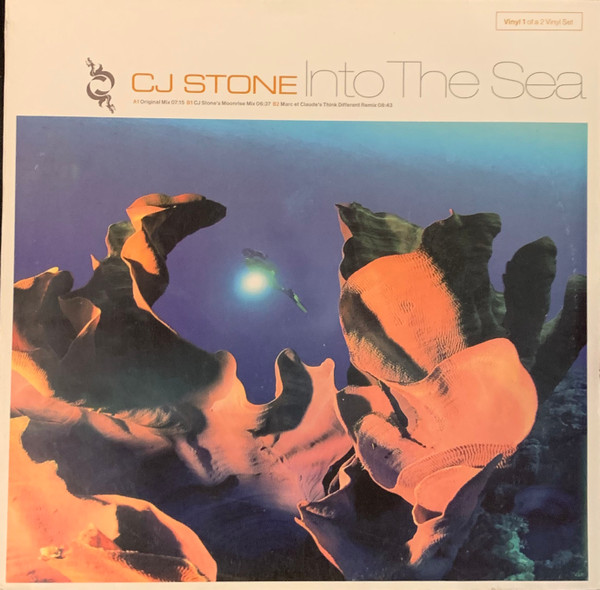 CJ Stone — Into The Sea (Vinyl 1) cover