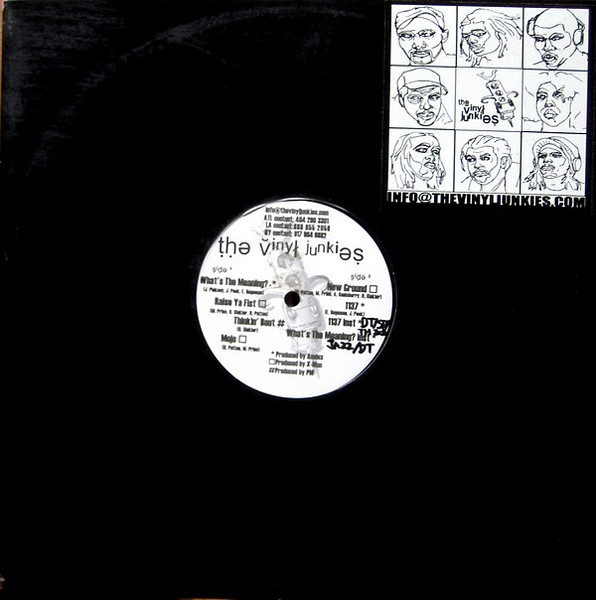 Vinyl Junkies, The — The Vinyl Junkies cover