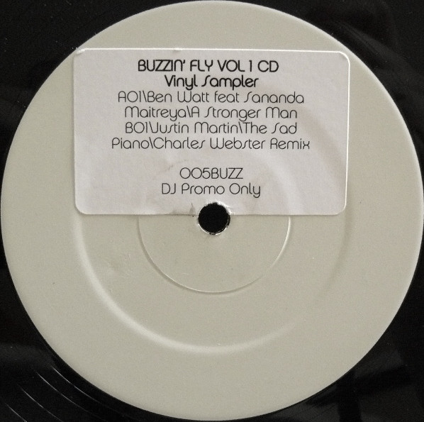 Ben Watt / Justin Martin — Buzzin' Fly Vol 1 CD Vinyl Sampler cover