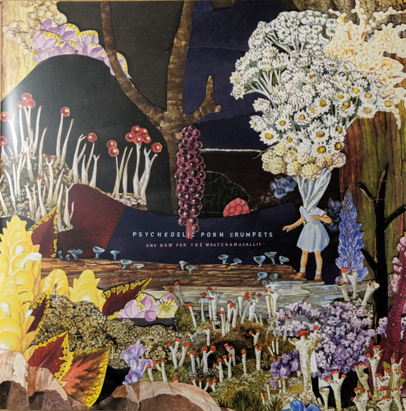Psychedelic Porn Crumpets — And Now For The Whatchamacallit cover