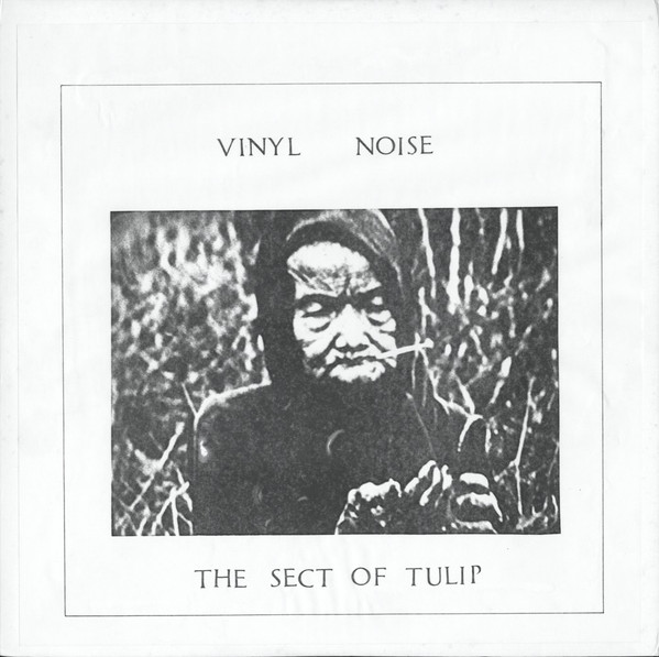Sect Of Tulip, The — Vinyl Noise cover