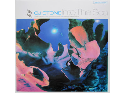 CJ Stone — Into The Sea (Vinyl 2) cover