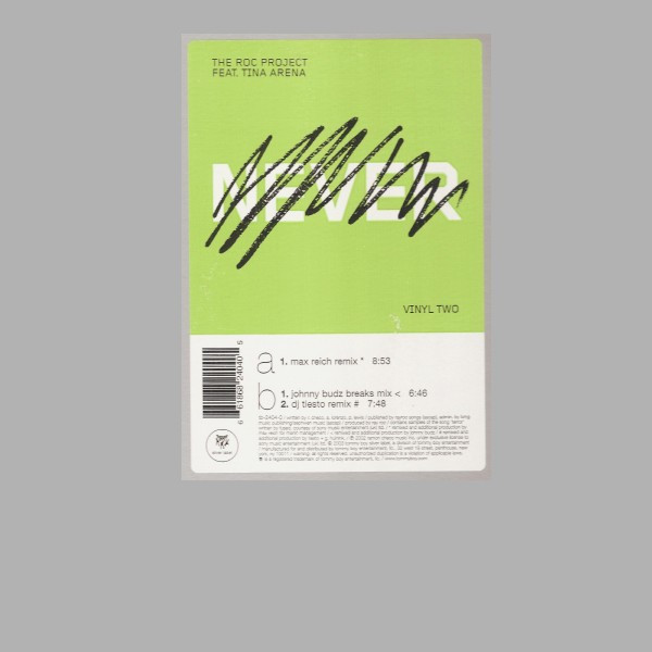 Roc Project, The Feat. Tina Arena — Never (Vinyl Two) cover