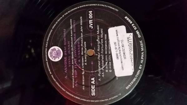 Vinyl Junkie Feat. Martina (7) / Sy & Unknown — Anyone / Top Tune (Vinyl Junkie Remix) cover