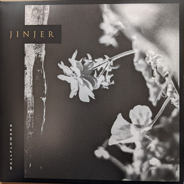 Jinjer (2) — Wallflowers cover