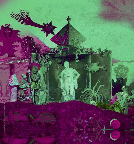 Madhouse Express — Surreal Meadow, Limited Edition 12" Vinyl cover