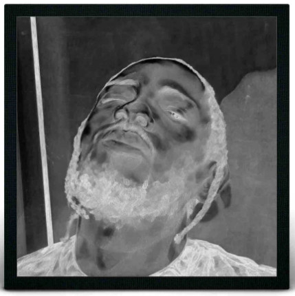 Kendrick Lamar — DAMN. by Toyin Ojih Odutola Gallery Vinyl cover