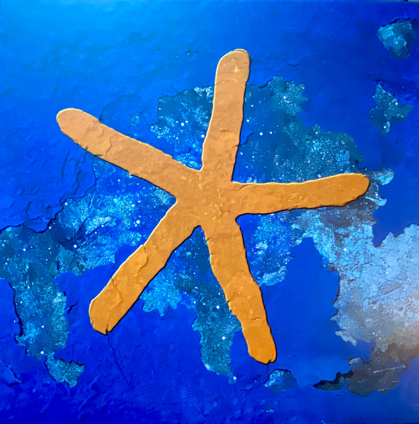 Fish — 13th Star (2023 Vinyl Remix) cover