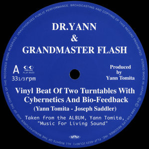 Dr. Yann & Grandmaster Flash — Vinyl Beat Of Two Turntables With Cybernetics And Bio-Feedback cover