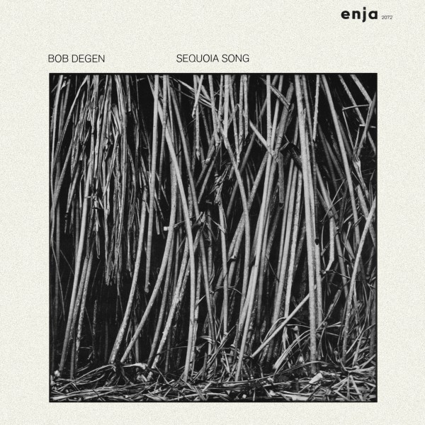 Bob Degen — Sequoia Song cover