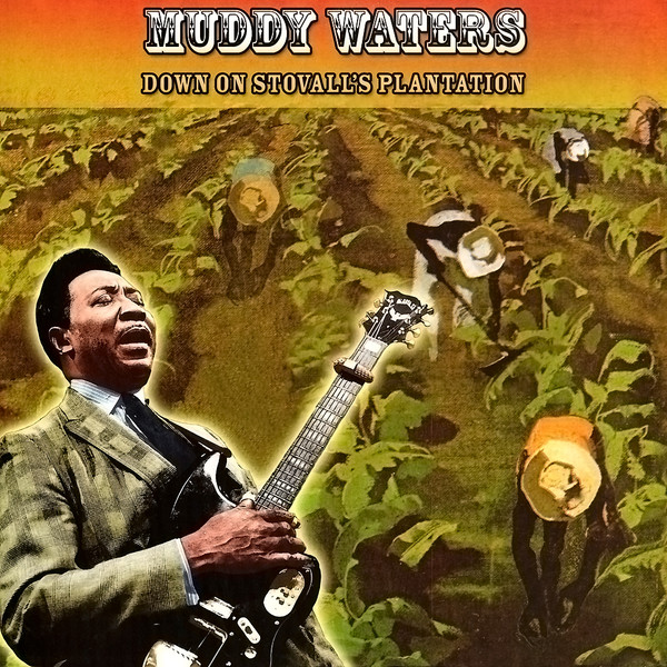 Muddy Waters — Down On Stovall's Plantation cover