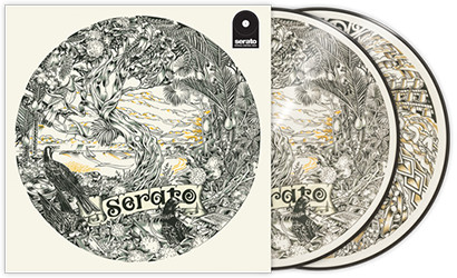 No Artist — Dan Tippett Picture Disc Control Vinyl cover