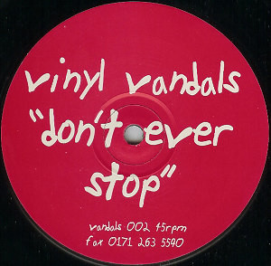 Vinyl Vandals — Don't Ever Stop / New York New York cover