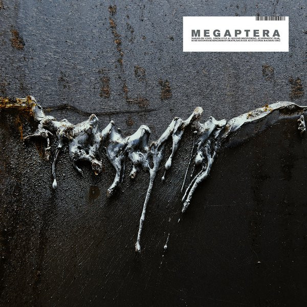 Megaptera — Nailed On Vinyl cover