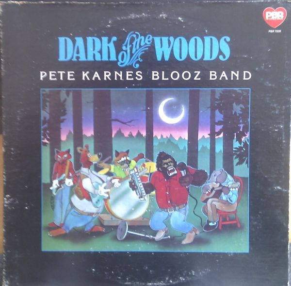 Pete Karnes Blooz Band — Dark Of The Woods cover