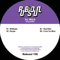 DJ Wild — Vinyl Killer cover