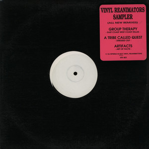 Vinyl Reanimators — Vinyl Reanimators Sampler cover